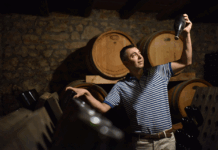 “Kvarner, Croatia: Hidden Gem for Wine & Food Lovers”