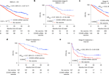 mRNA COVID Vaccines Make Tumors More Responsive to Therapy