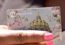 SNAP Deadline Nov. 1: What EBT Cardholders Need to Know Right Now