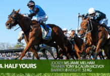 Melbourne Cup 2025: Top Tips & Field Info