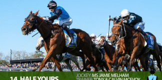 Melbourne Cup 2025: Top Tips & Field Info