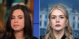 Karoline Leavitt’s Nephew’s Mother Speaks Out Following ICE Arrest