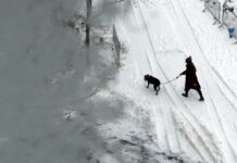 Severe Winter Storm: Bomb Cyclone Expected to Cause Blizzard Conditions and Travel Hazards