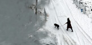 Severe Winter Storm: Bomb Cyclone Expected to Cause Blizzard Conditions and Travel Hazards