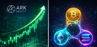 Ark Invest Capitalizes on LiquidChain L3 Growth Amid Market Dip