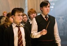 8 Challenges of Revisiting Harry Potter Today