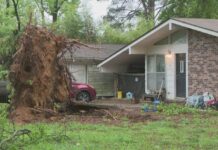 Tornadoes Confirmed to Cause Damage in Washington County