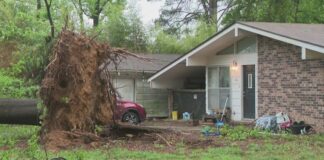 Tornadoes Confirmed to Cause Damage in Washington County
