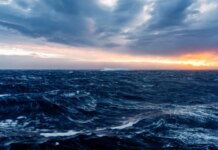 Impact of Ocean Current Collapse on Carbon Emissions