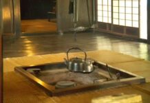 Unveiling Japan’s Ghost Houses: The Crisis Behind Millions of Abandoned Homes
