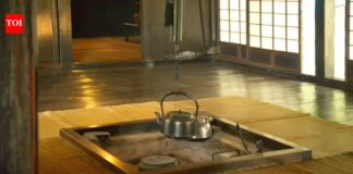 Unveiling Japan’s Ghost Houses: The Crisis Behind Millions of Abandoned Homes