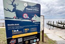 Protecting Sea Turtles: The Boater Awareness Campaign Launches in Destin