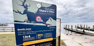 Protecting Sea Turtles: The Boater Awareness Campaign Launches in Destin