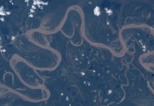 Amazon River Serenity: A Space Perspective – April 30, 2026
