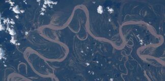 Amazon River Serenity: A Space Perspective – April 30, 2026